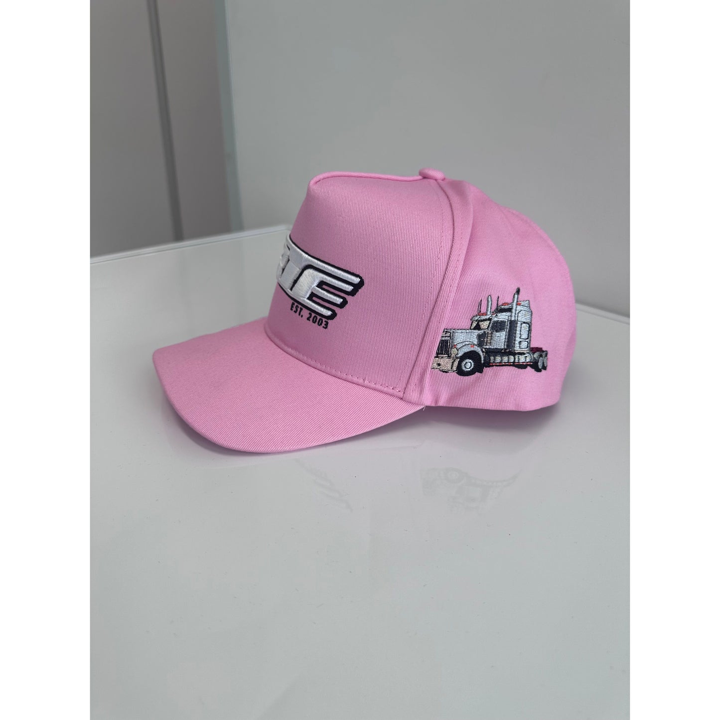 CTC Pink RTE Hat by RTE Custom Trucks featuring a vibrant pink design and adjustable strap for a comfortable fit.