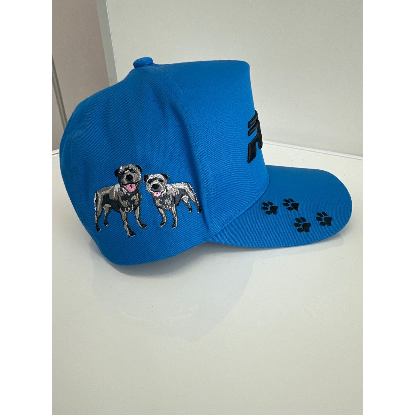 CTC Blue RTE Hat featuring a vibrant blue color and RTE Custom Trucks logo on the front.
