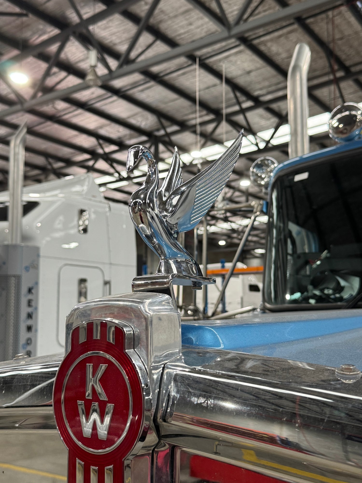 Hood Ornament & Mounts