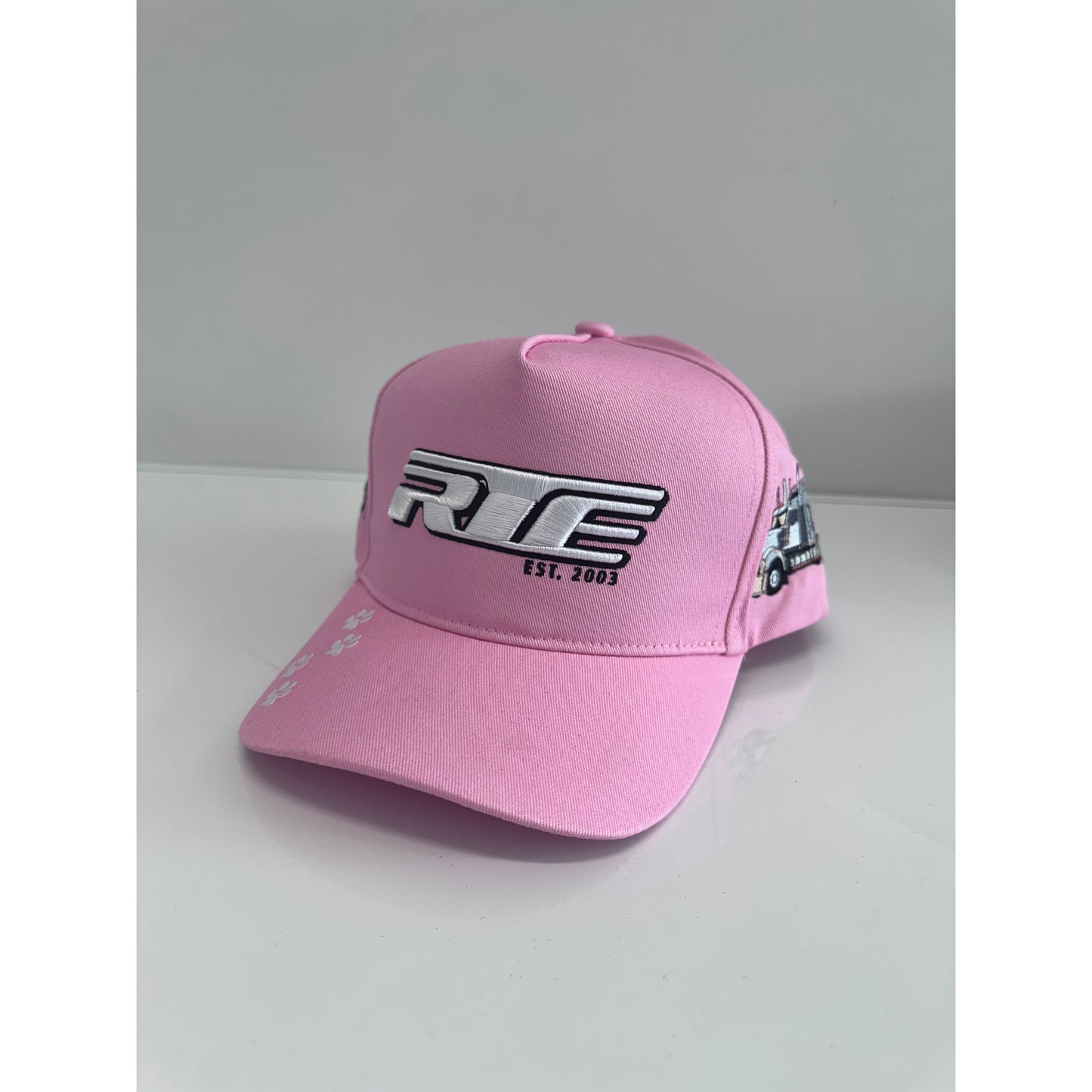 CTC Pink RTE Hat by RTE Custom Trucks featuring a vibrant pink color and logo on an adjustable cap.