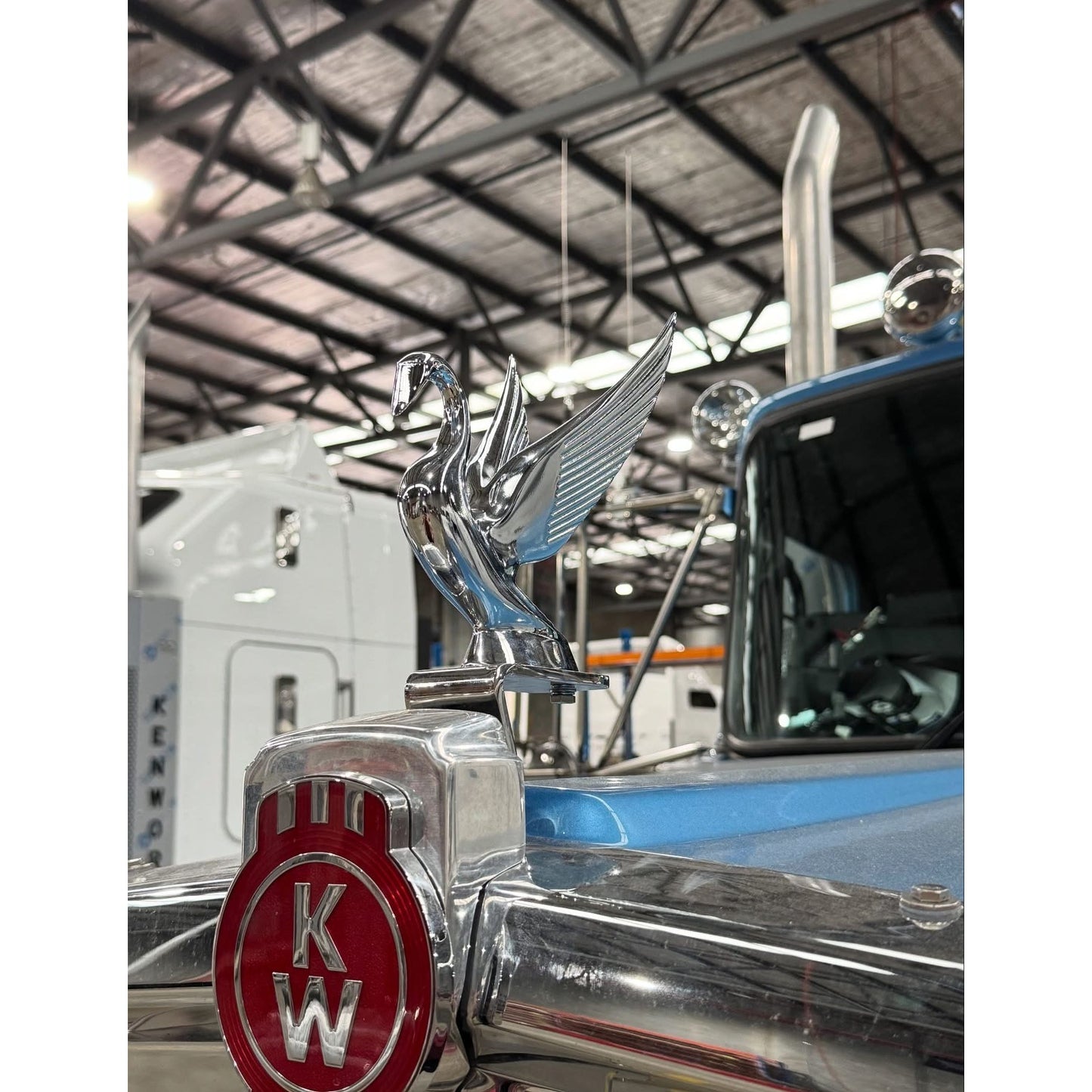 Chrome Swan Hood Ornament by RTE Custom Trucks, featuring a sleek design and detailed craftsmanship for trucks.
