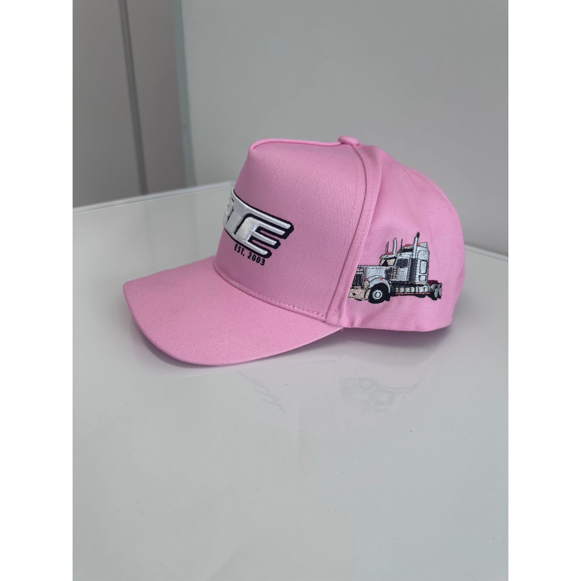 CTC Pink RTE Hat by RTE Custom Trucks featuring a vibrant pink design and adjustable strap for a comfortable fit.