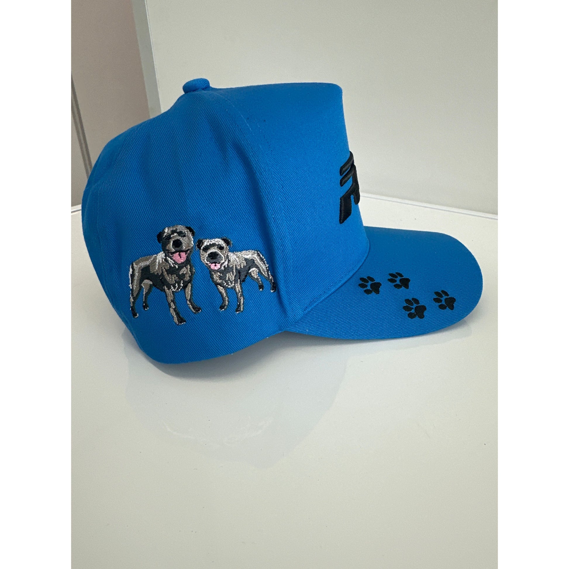 CTC Blue RTE Hat featuring a vibrant blue color and RTE Custom Trucks logo on the front.